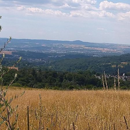Ferienwohnung Im Naturpark Rhein-Westerwald Rengsdorf ภายนอก รูปภาพ