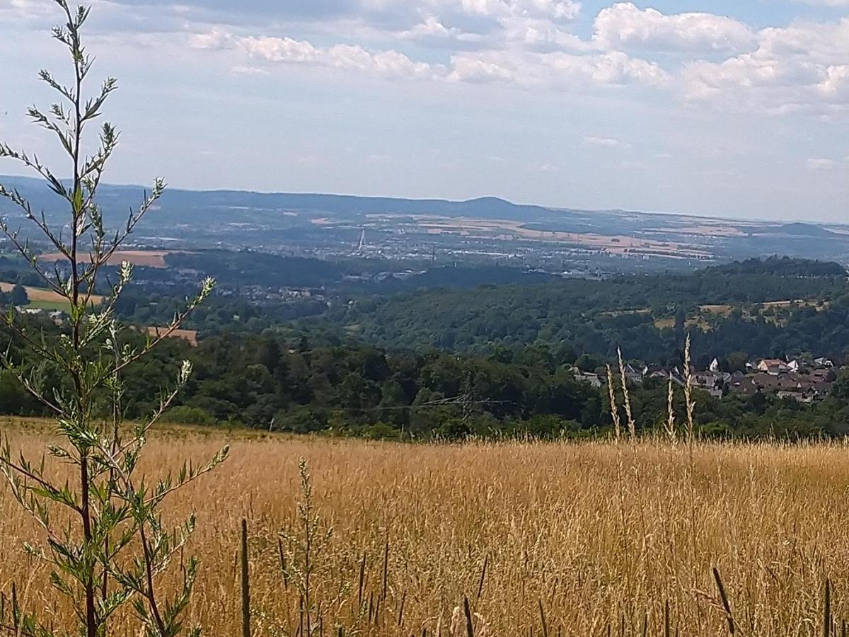 Ferienwohnung Im Naturpark Rhein-Westerwald Rengsdorf ภายนอก รูปภาพ
